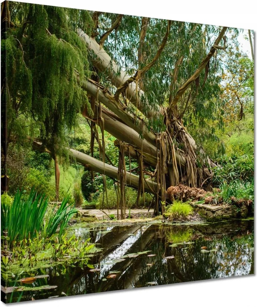 Vászonkép 50x50 Tájkép Látvány