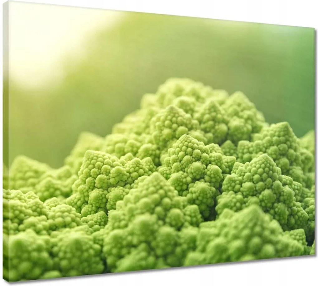 Festmények 50x40 Konyhai képek Forradalmak