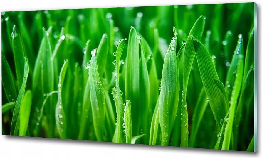 Fotó kép fotó edzett üveg Fű 100x70