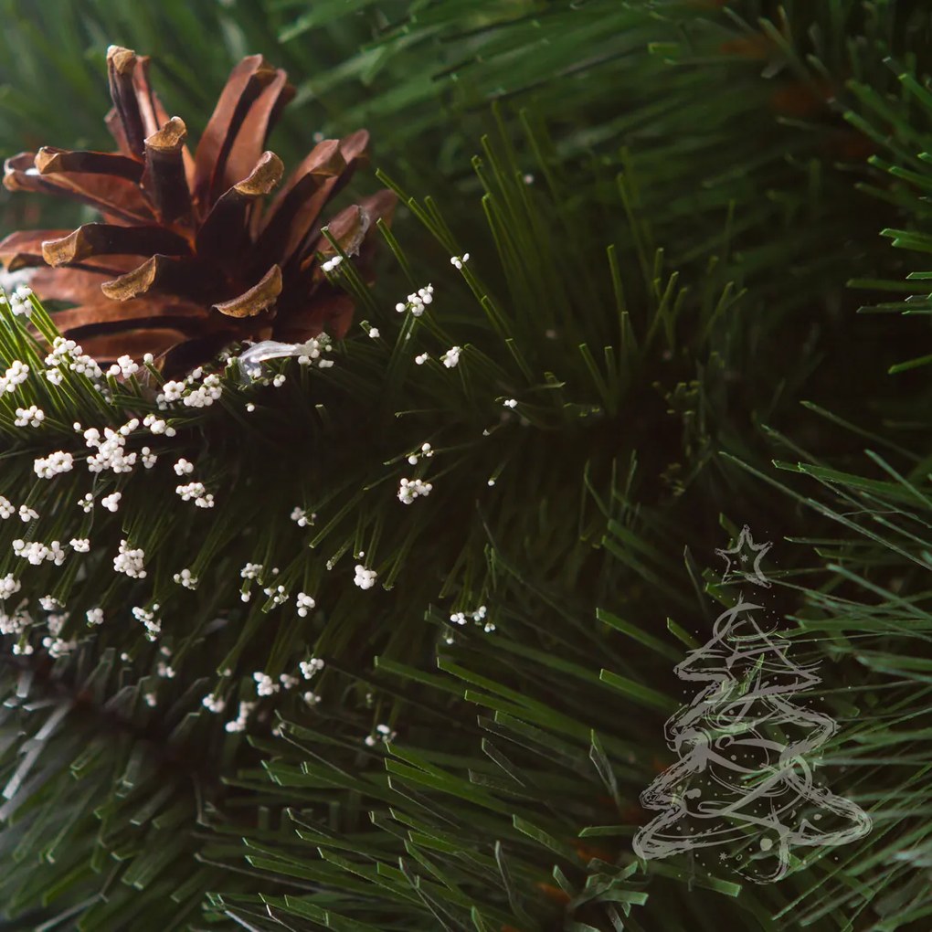 Karácsonyfa Fehér végű erdei fenyő 2D 250 cm