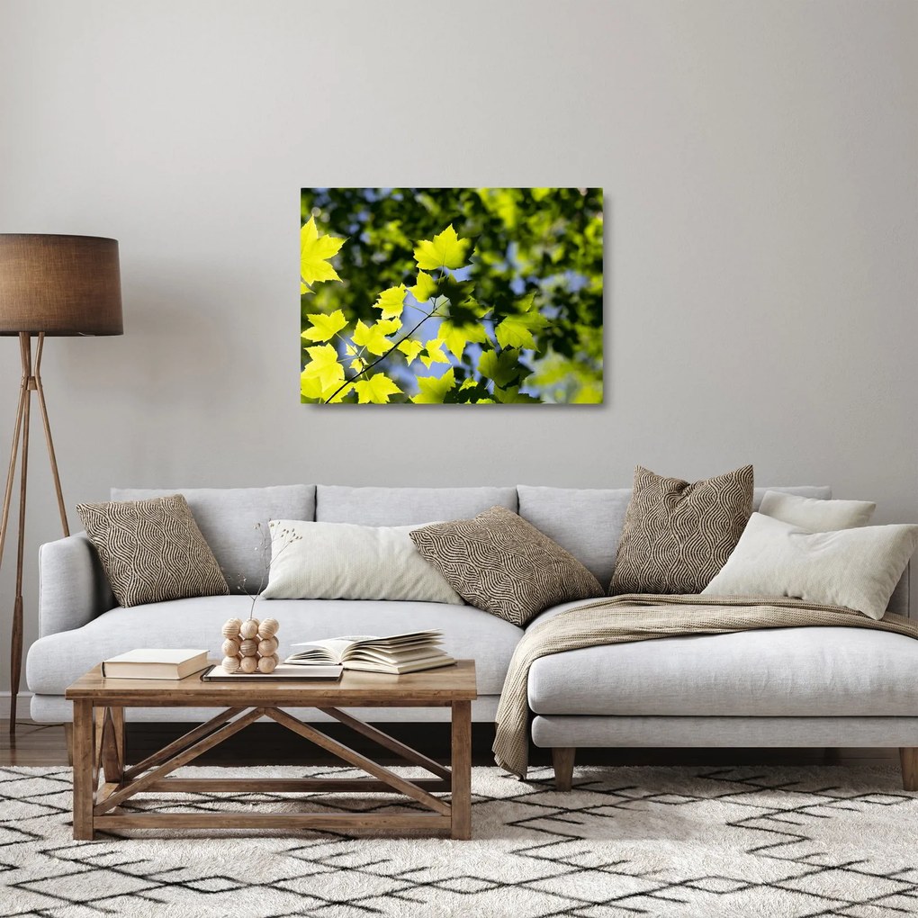 Kép - juhar levelek (üvegen) (70x50 cm)
