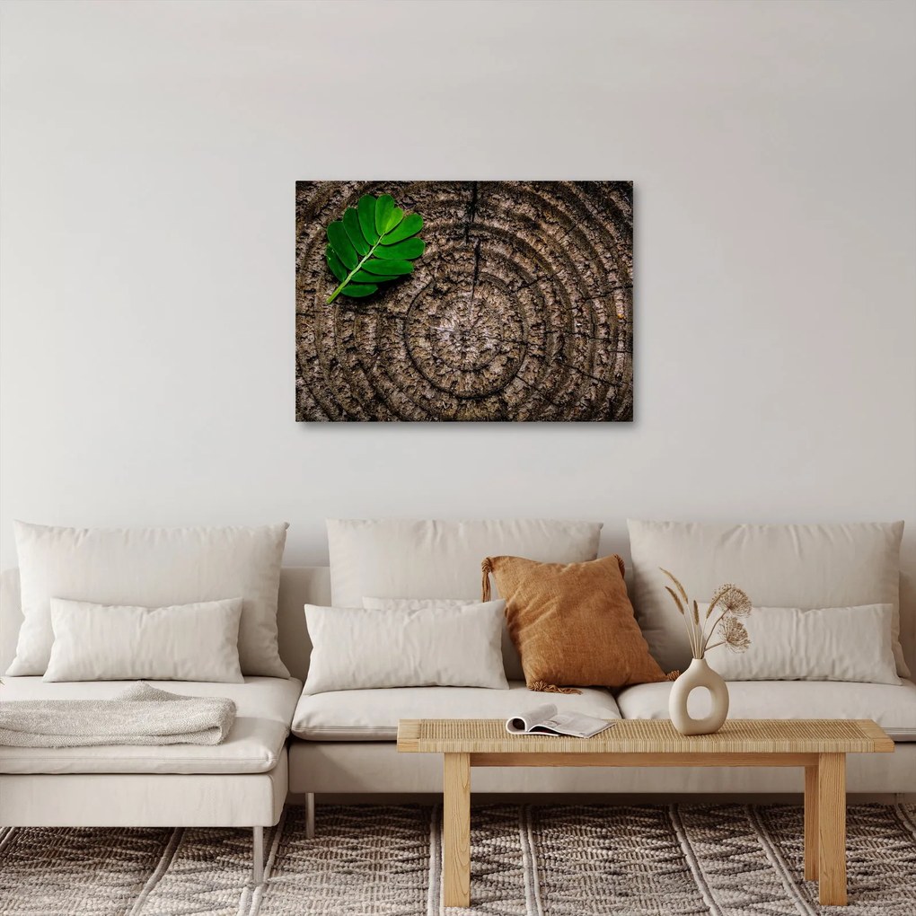 Kép egy levél a fatörzsön (70x50 cm)