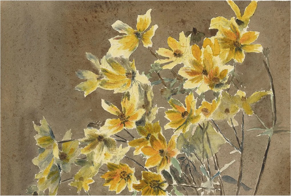 Fotótapéta Flizelin Dekoratív az irodába Napfény csokor 104x70 Ragasztó