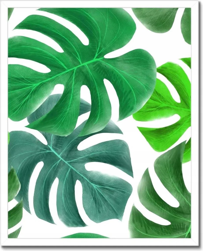 Poszterek keretben 40x50 Levelek Monstery Trópusok