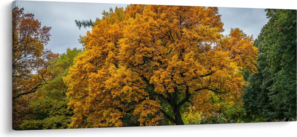 Fa képe (120x50 cm)