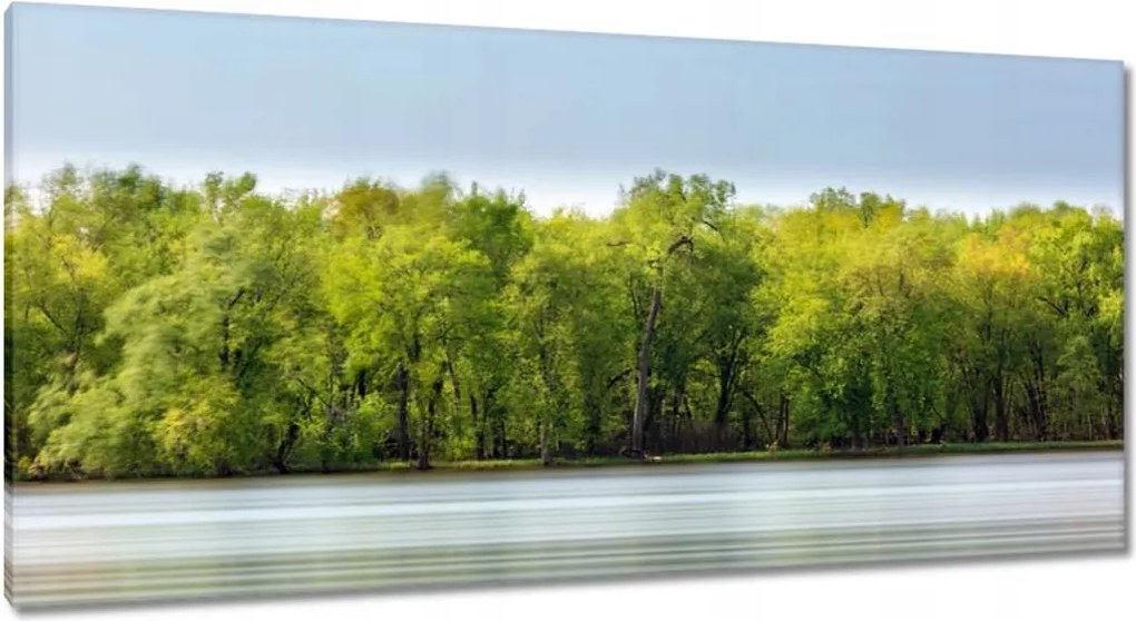 Vászonkép 115x55 Erdő Tó Ég