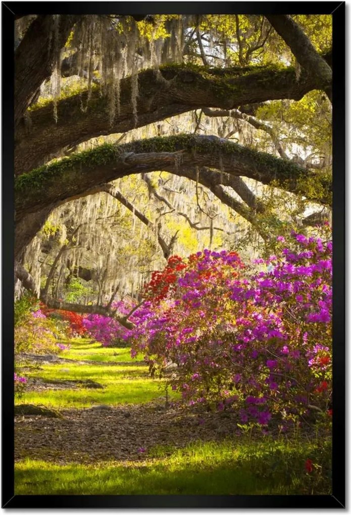 Poszterek keretben 40x60 Virágok a parkban