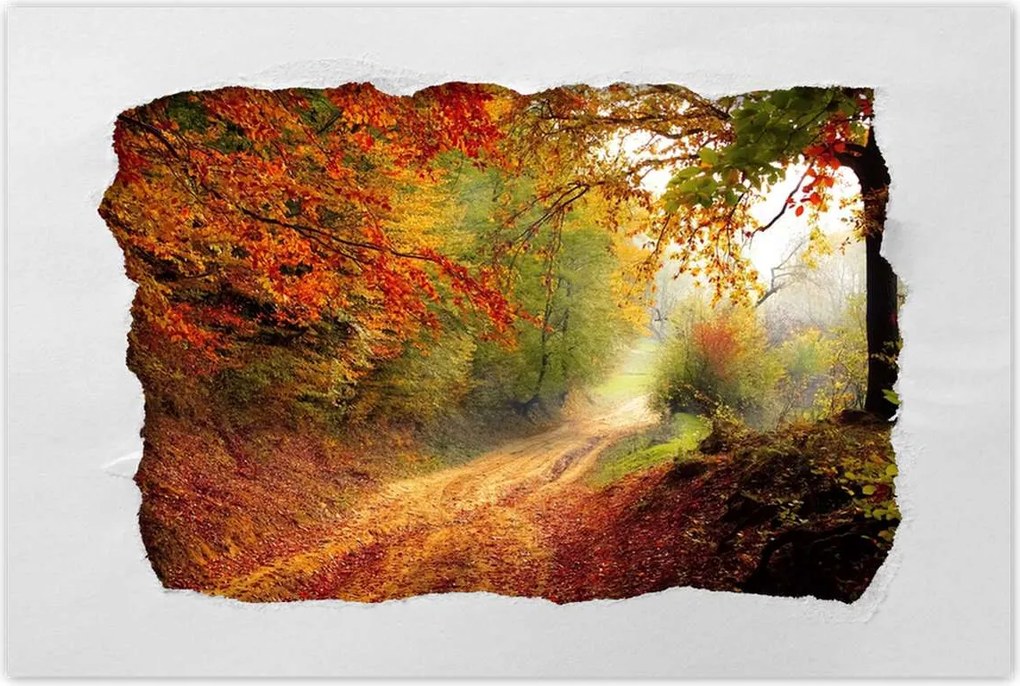 Poszterek 120x80 Út az erdőben ősz