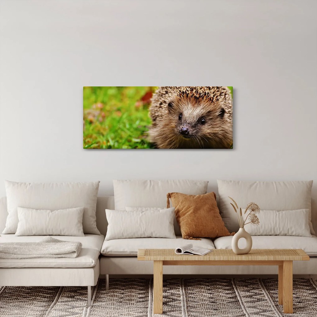 Sündisznó képe (120x50 cm)