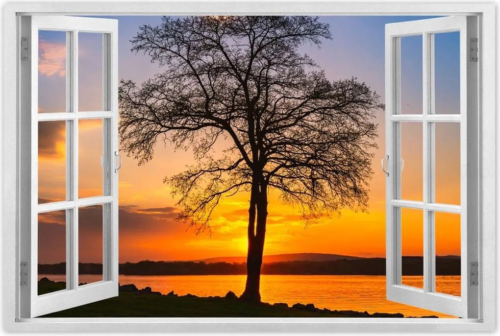 Plakátok 60x40 Tree Sunset