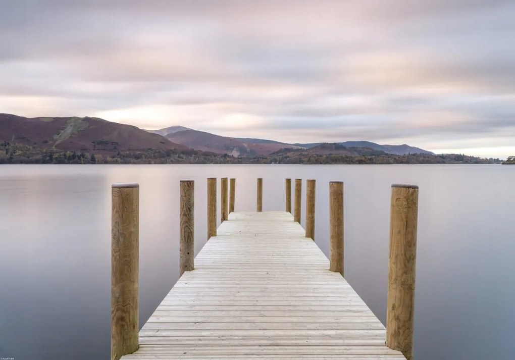 Poszter 66,5x46,5cm, Assaf Frank