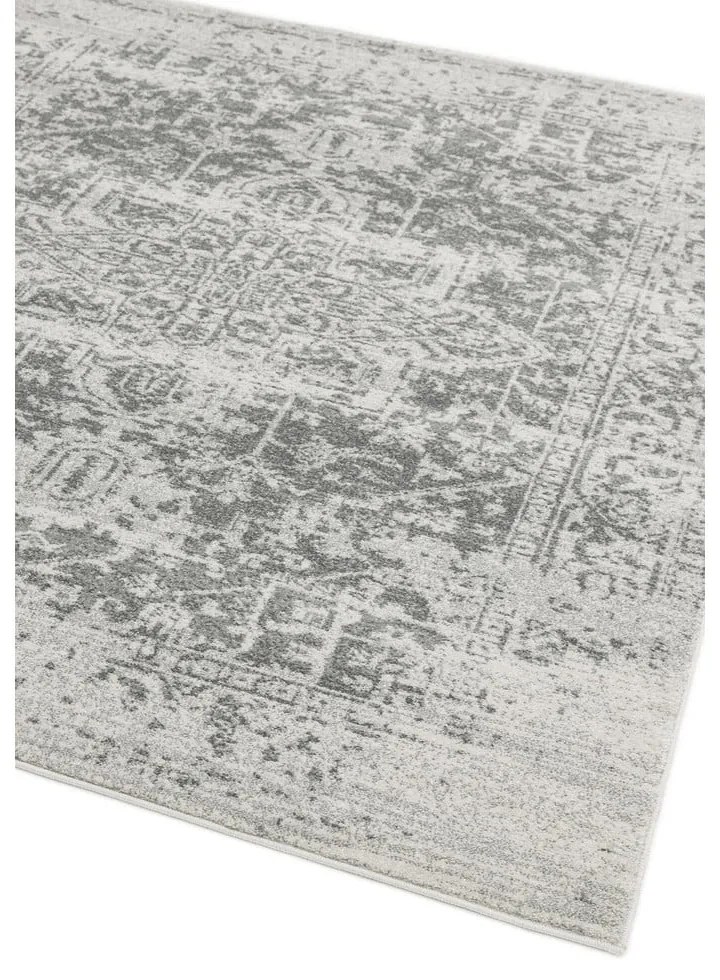 Szürke szőnyeg 120x170 cm Nova – Asiatic Carpets