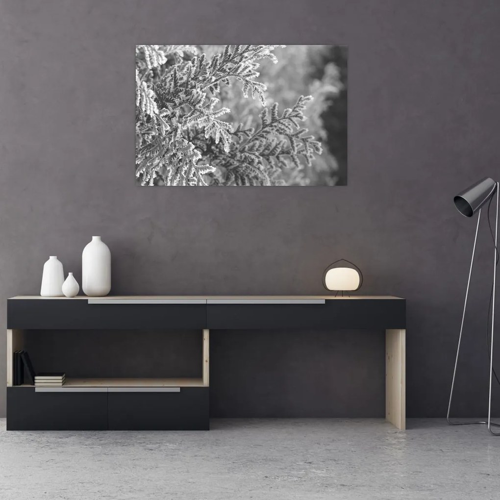 Kép - Lucfenyő erdő (90x60 cm)