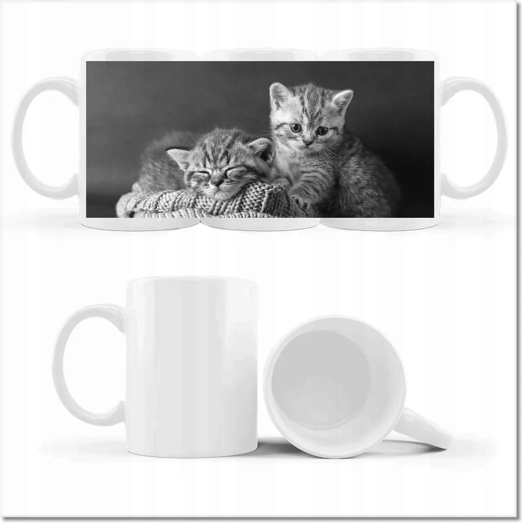 Bögre fényképpel Cicák Macskák Bw