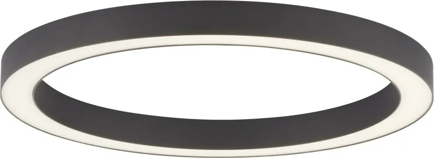 Paul Neuhaus modern mennyezeti lámpa pure-lines antracit pln6309-13