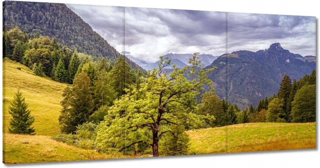 Festmények 120x60 Fa az égig