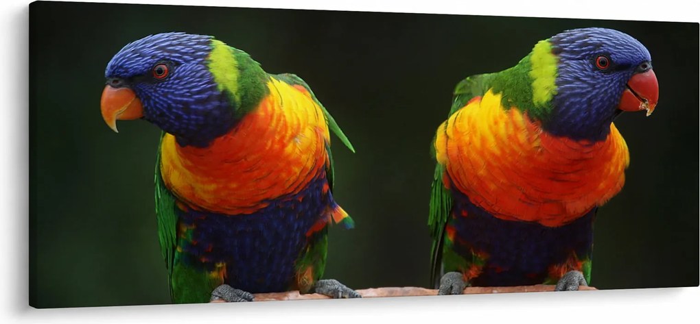 Papagájok képe (120x50 cm)