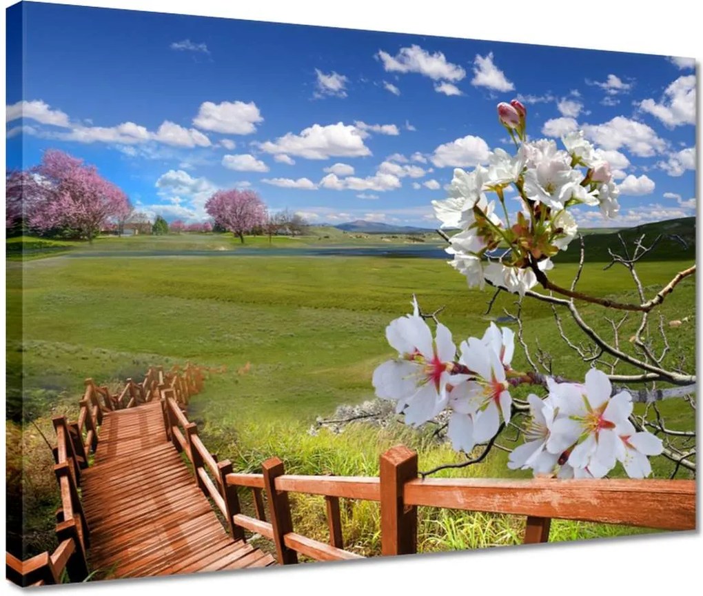 Vászonkép 40x30 Lépcsőn lefelé