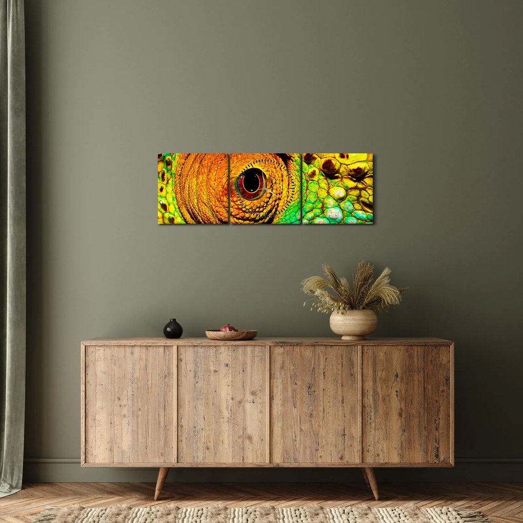 Kép - Kaméleon (órával) (90x30 cm)