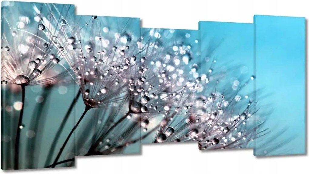 Vászonkép 150x80 Harmatcseppek Pitypang