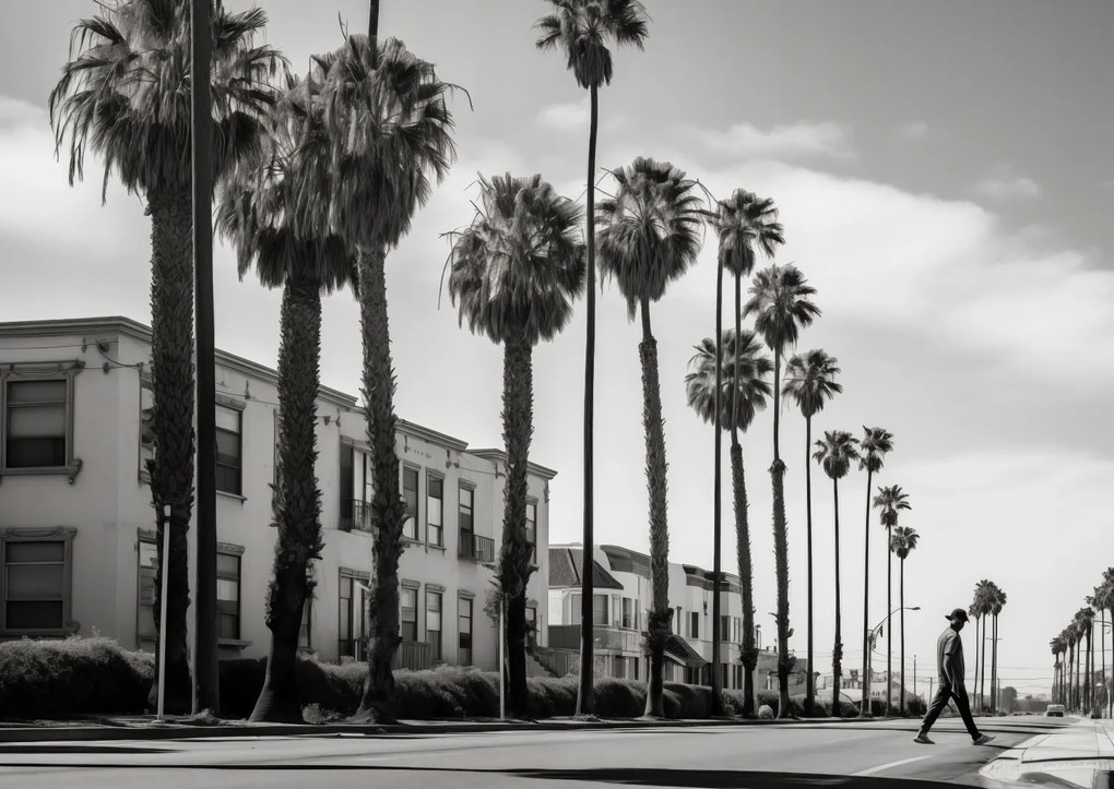 Poszter 84x59,5cm Séta a pálmafák árnyékában