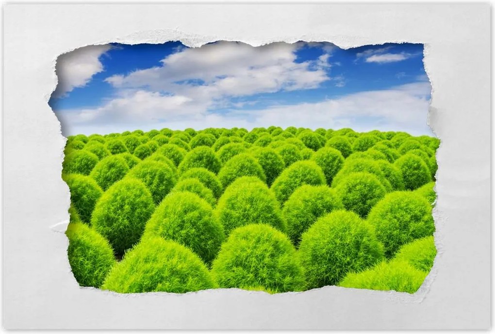 Poszterek 60x40 Zöld tekintet Völgy