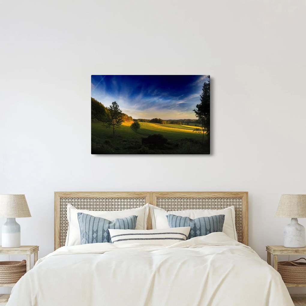 Kép - Hegyi rét (90x60 cm)