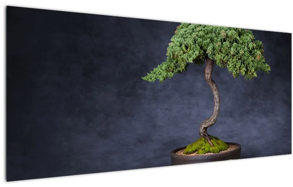 Kép - Bonsai (120x50 cm)