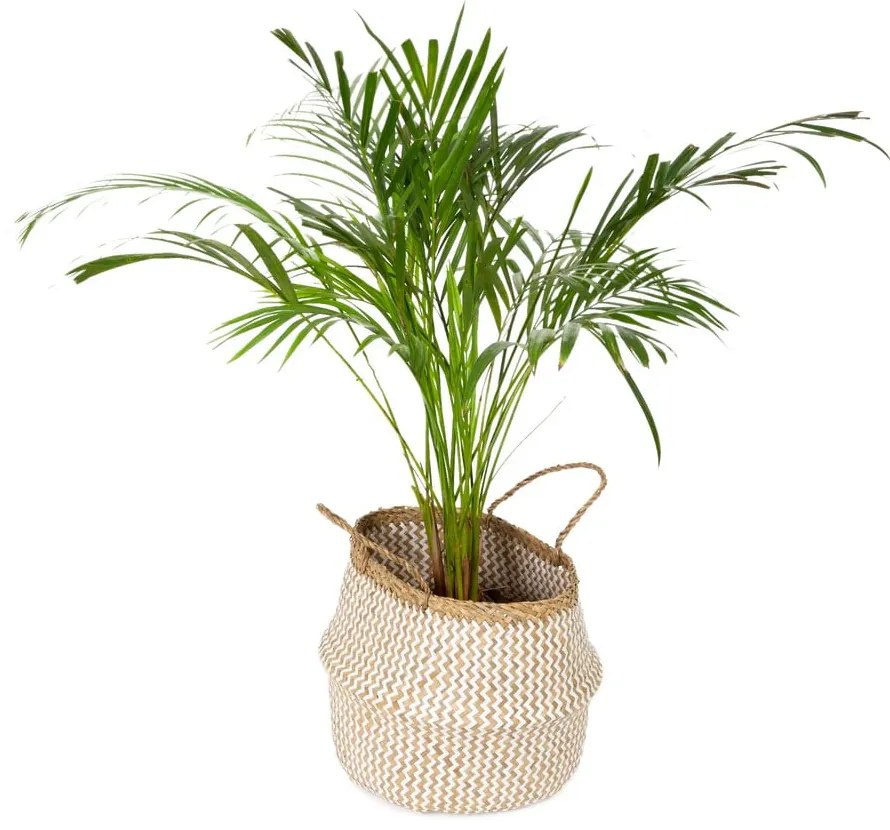 Zic Zac világos tengerifű tárolókosár, ⌀ 35 cm - Compactor
