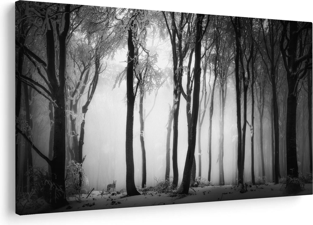Kép - Farkas a sötét erdőben (90x60 cm)