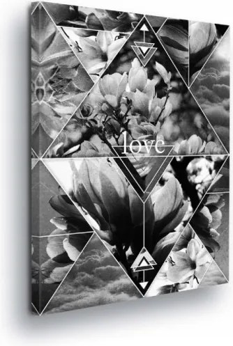 Vászonkép 75x100 Virágok geometria háromszögek minimalizmus természet absztrakt kollázs