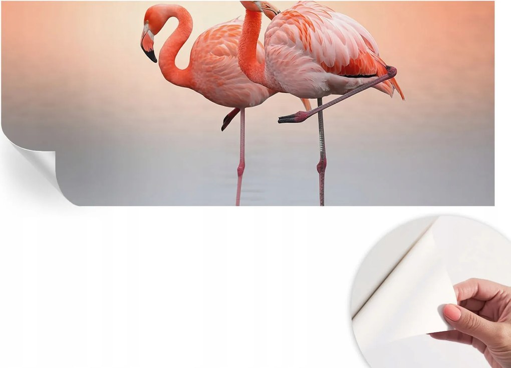 Öntapadós fotótapéta Divatos Finom flamingók 250x104 cm