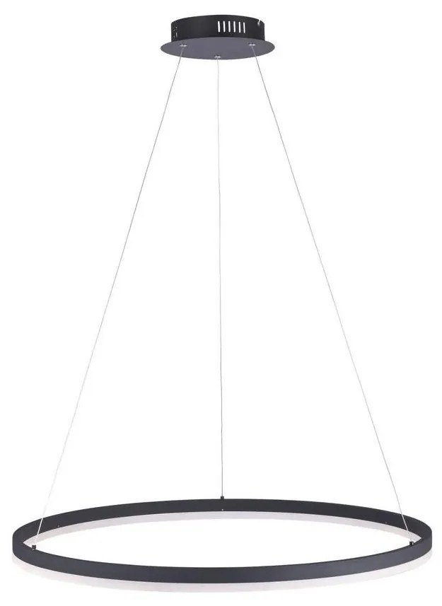 Paul Neuhaus 2383-13 - LED Dimmelhető csillár zsinóron TITUS LED/50W/230V