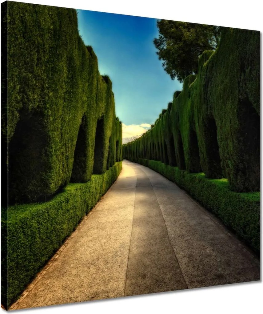 Vászonkép 40x40 Tájkép Látvány