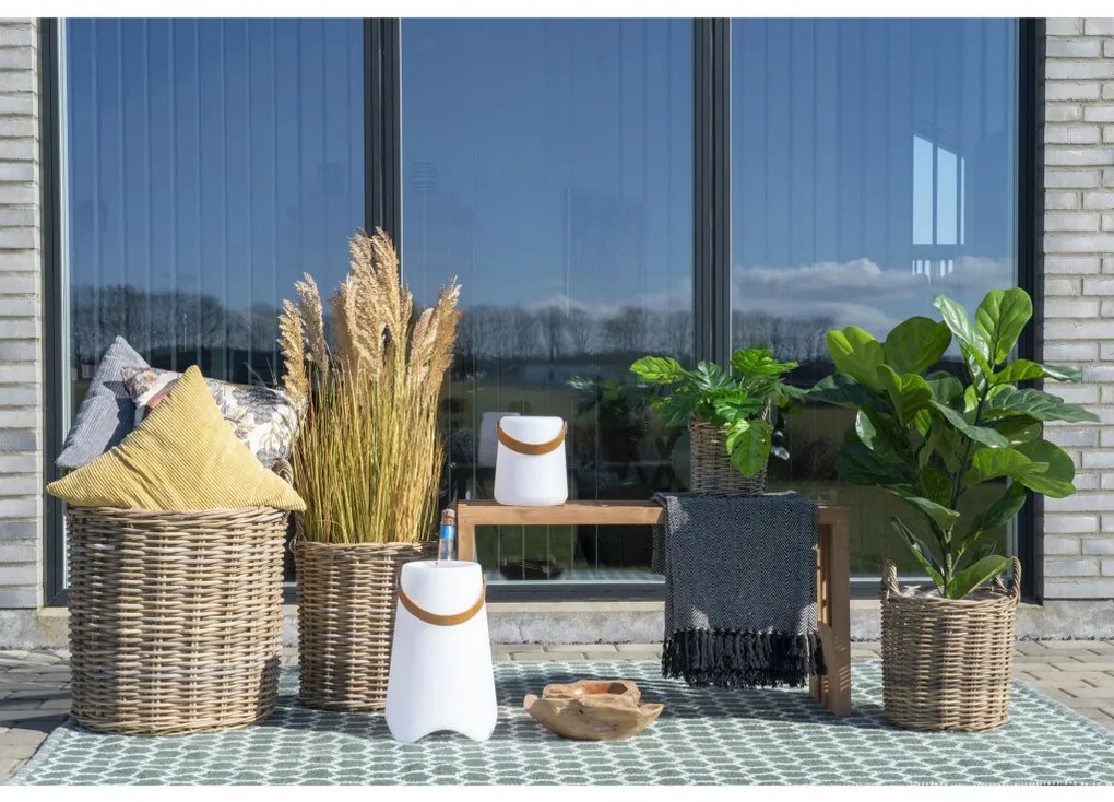 Caor kosarak, kubu rattan, natúr 4 db