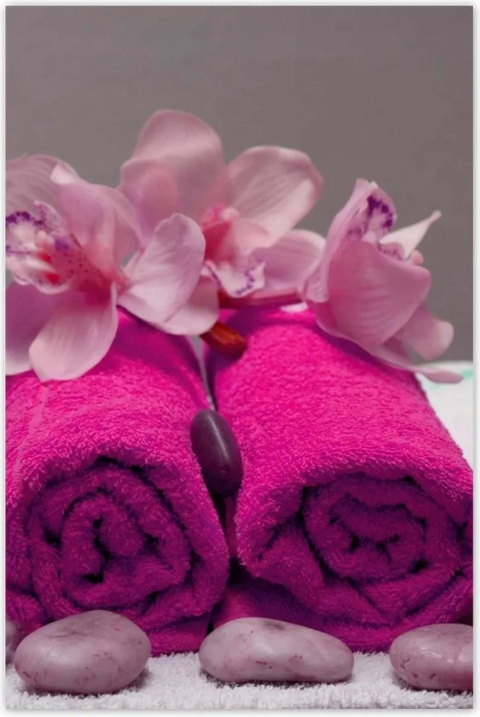 Poszterek 60x90 Lila törölköző Virág