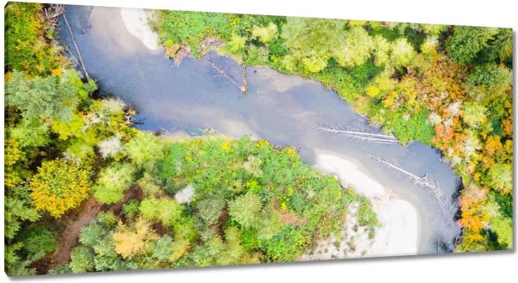 Vászonkép 115x55 Forgó folyó Erdő Ősz