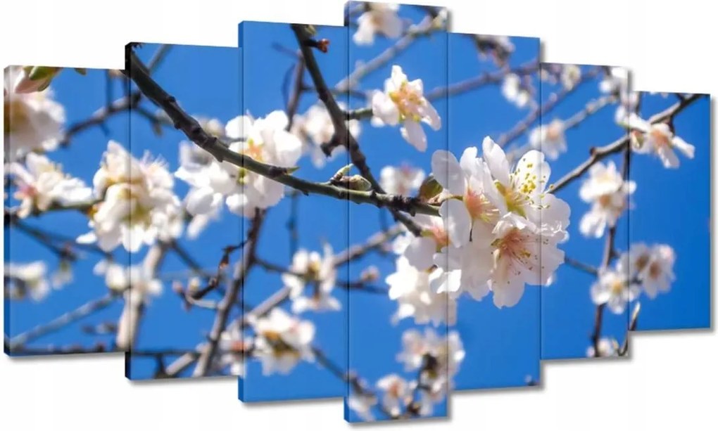 Vászonkép 140x80 Almafa virág