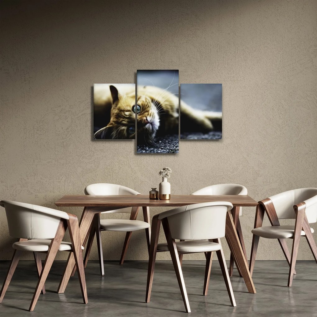 Macska képe (90x60 cm)