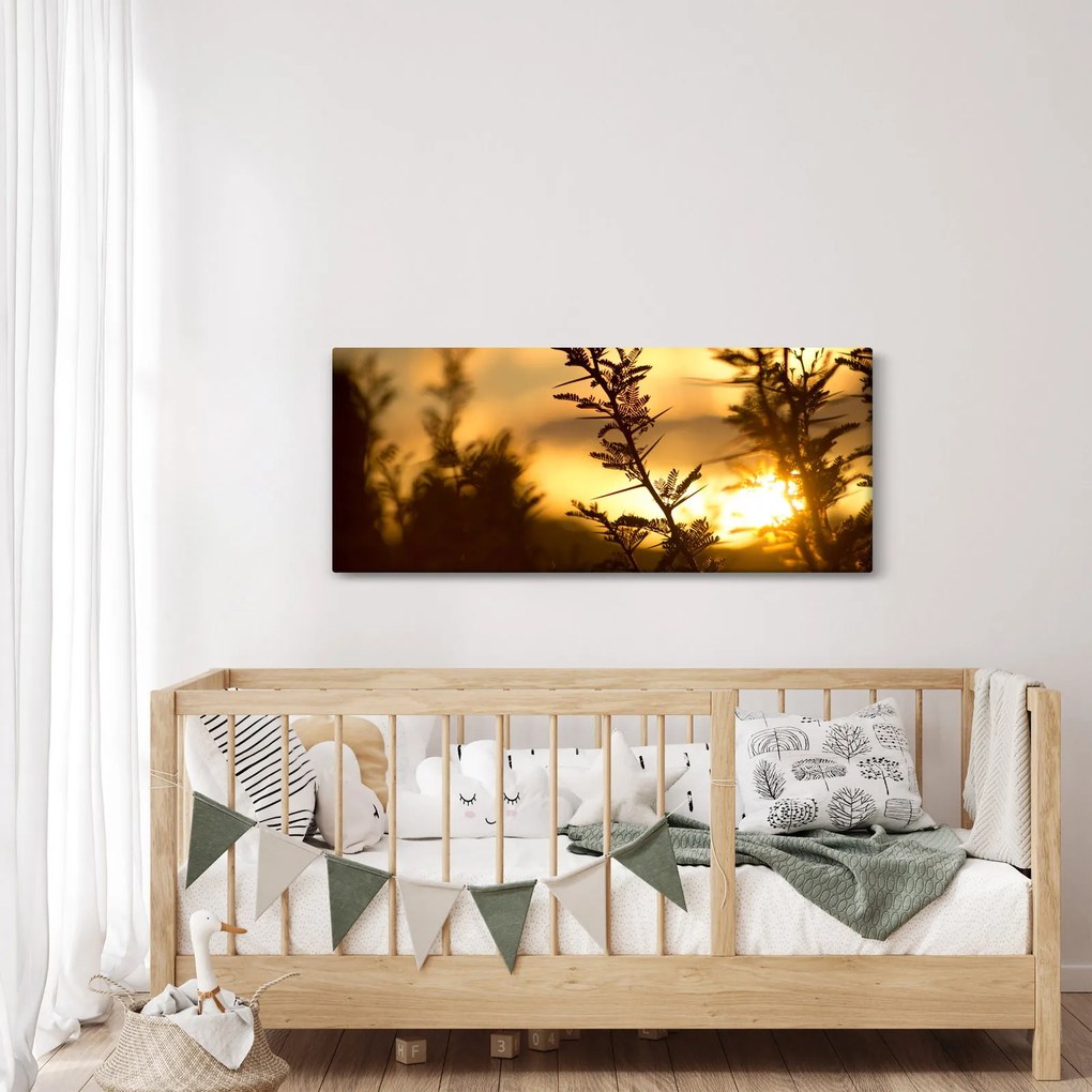 Kép - A nap lenyugszik a fák mögött (120x50 cm)