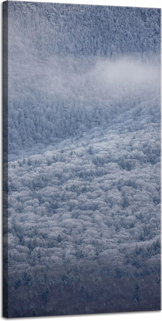 Vászonkép Természet Hófödte erdő 40x80 cm