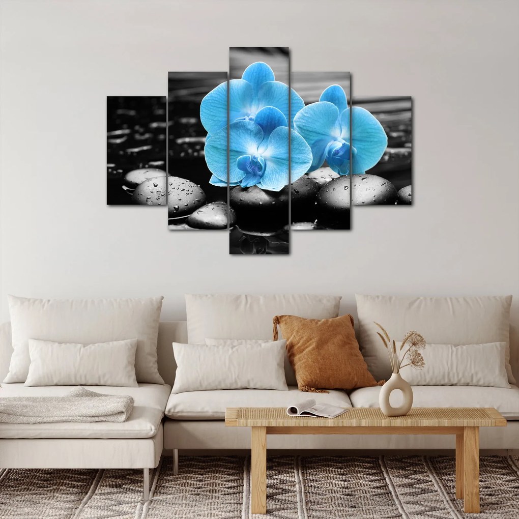 Kép - Kék orchidea (150x105 cm)