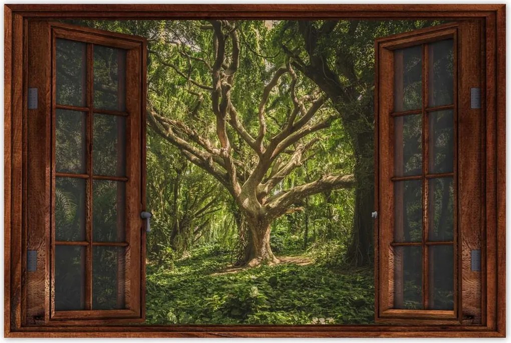 Poszterek 90x60 Fa a parkban