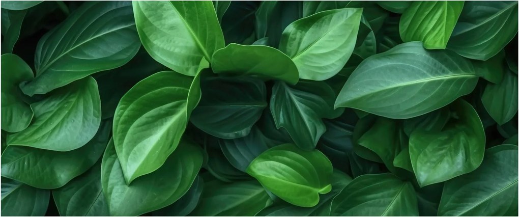 Kép - Zöld levelek (120x50 cm)