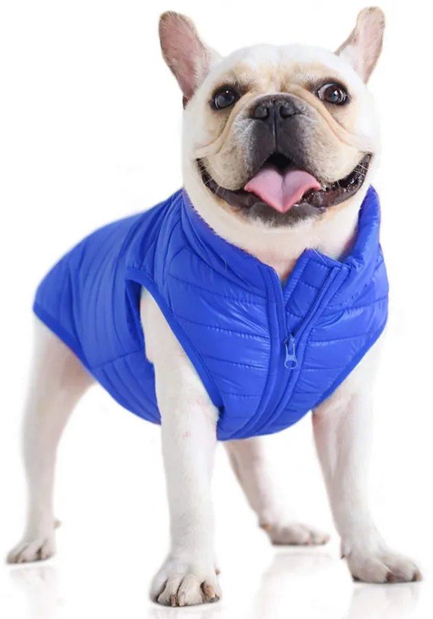 Vízálló, szőrmentes kutyakabát, kék, XL-es (francia bulldog méret)