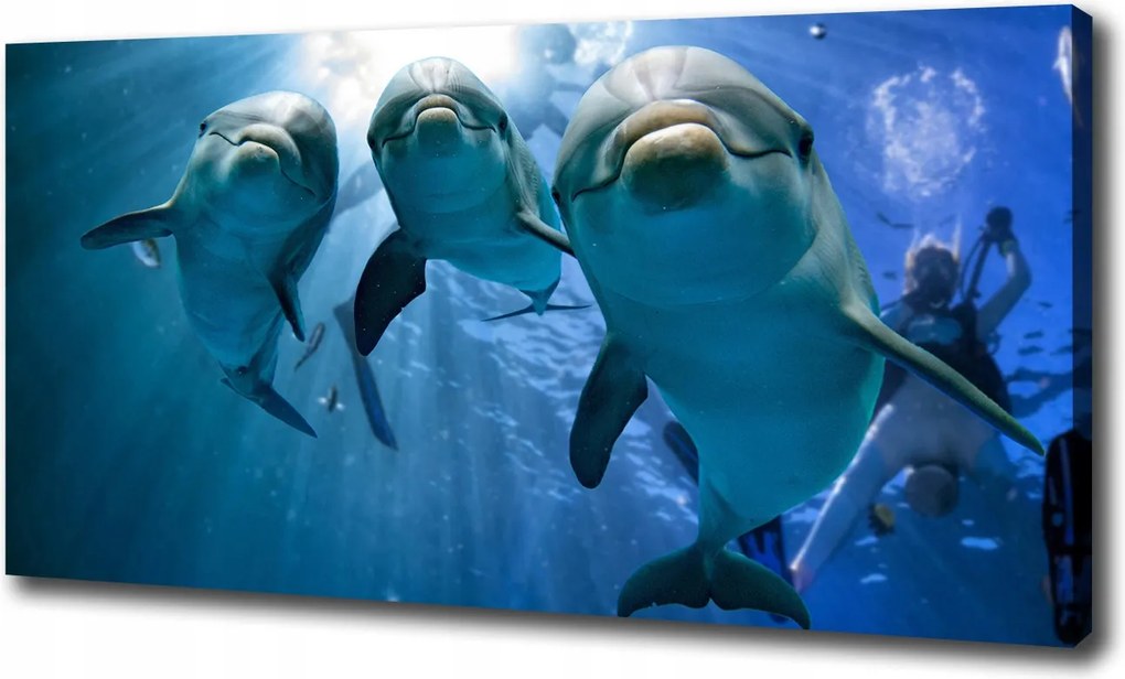 Nagyméretű vászonkép Három delfin 100x70 cm