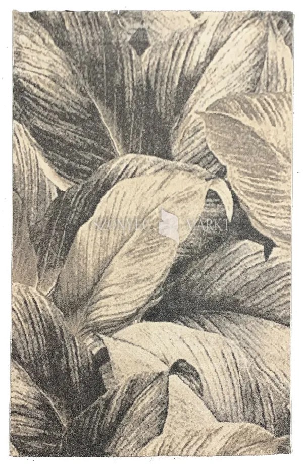 Flora 9051 modern mintájú szőnyeg (Beige) 40x70 cm