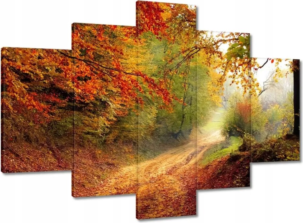 Képek 150x105 Út az erdőben ősz