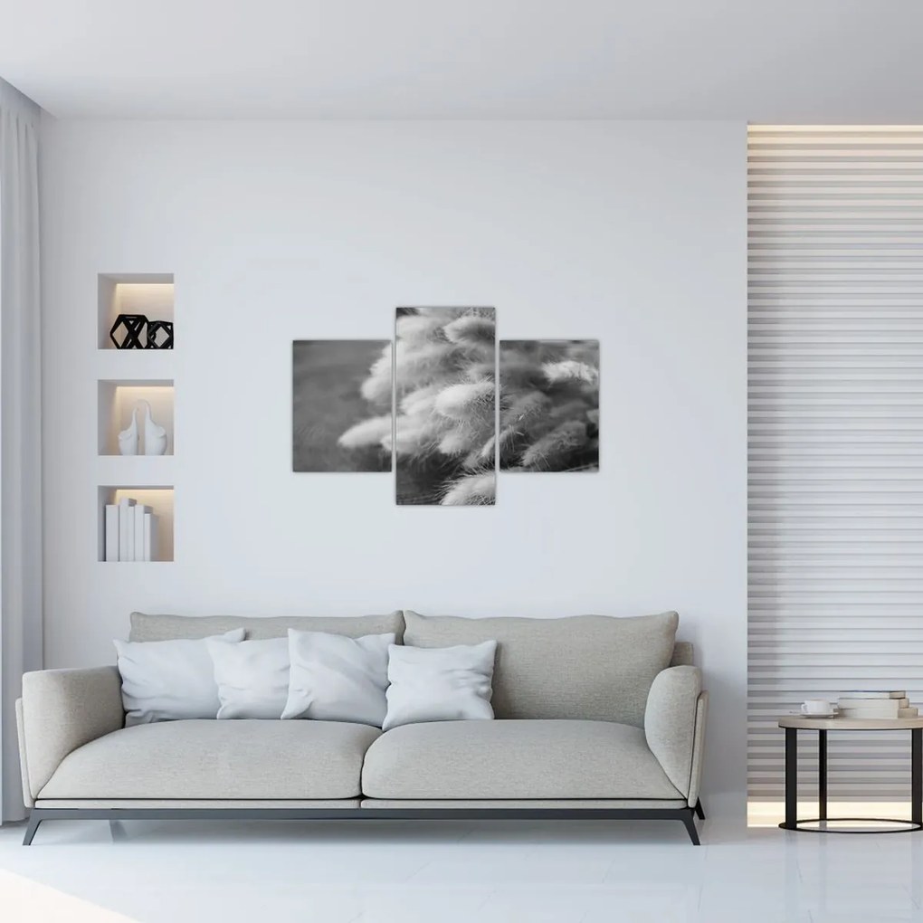 Kép - nyúlfarknyi fű az asztalon (90x60 cm)