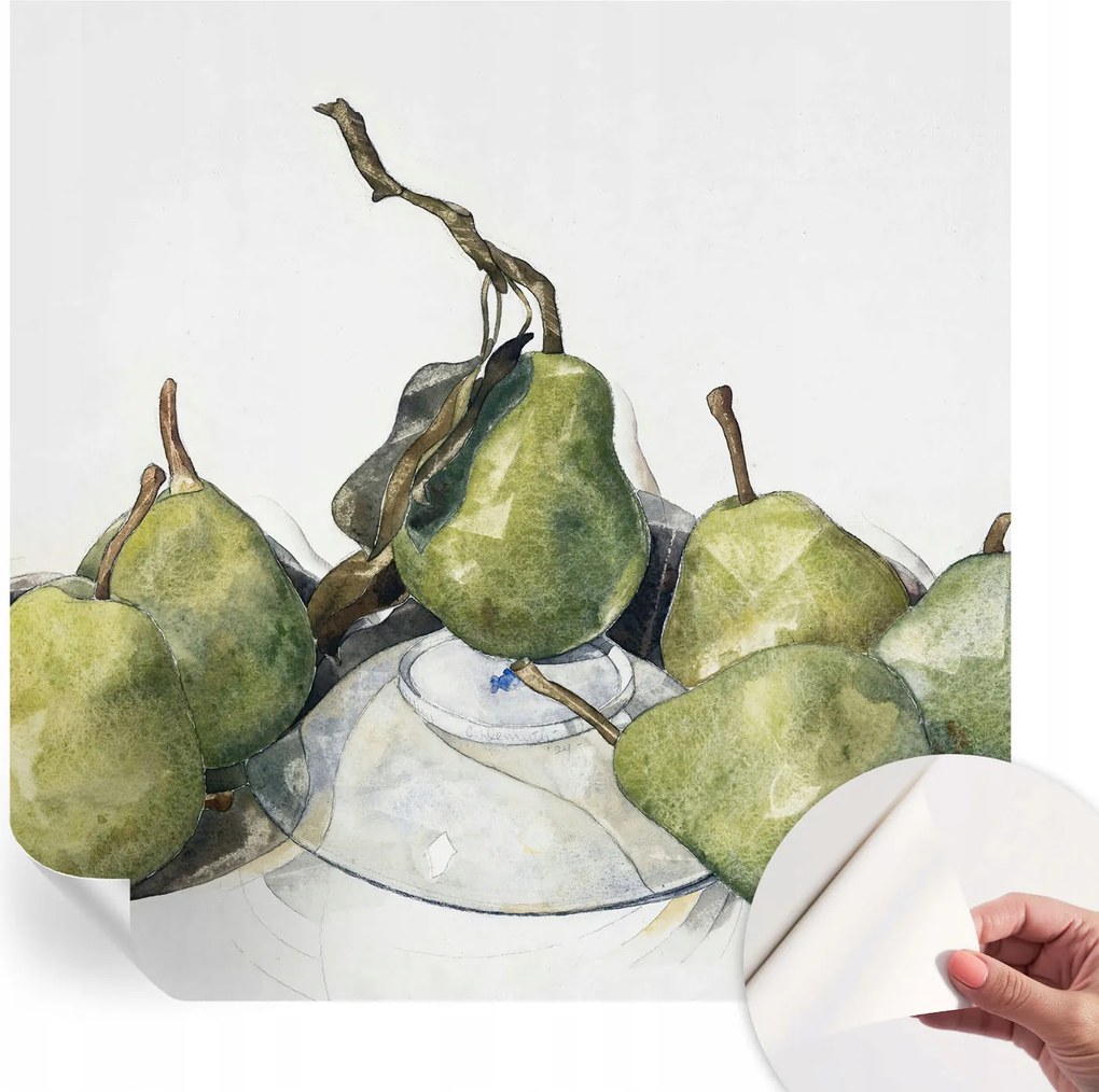 Dekoratív Öntapadós Tapéta Divatos Minták Körte akvarell 250x250 cm